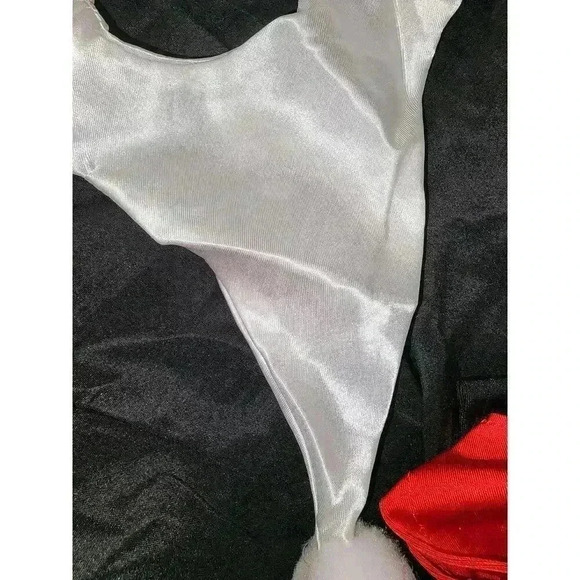 Jester Kit - Picture 7 of 8